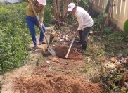 Trường MG Đại Tân ra quân thực hiện ” Tết trồng cây”